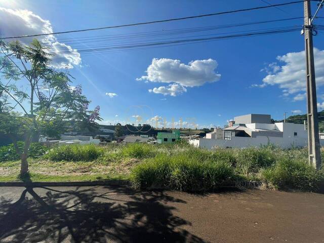#919 - Terreno para Venda em Chapecó - SC - 1