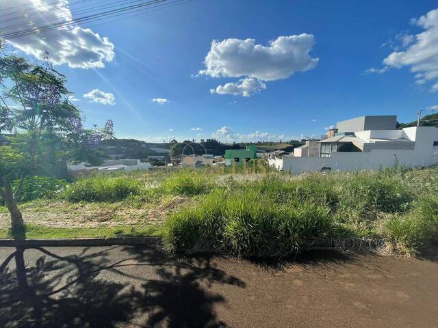 #919 - Terreno para Venda em Chapecó - SC - 2
