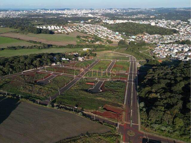 #1229 - Terreno para Venda em Chapecó - SC - 1