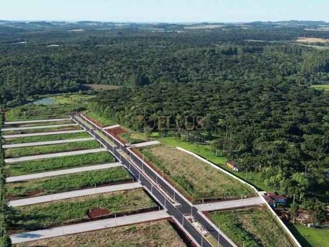 #1485 - Terreno para Venda em Guatambú - SC - 3