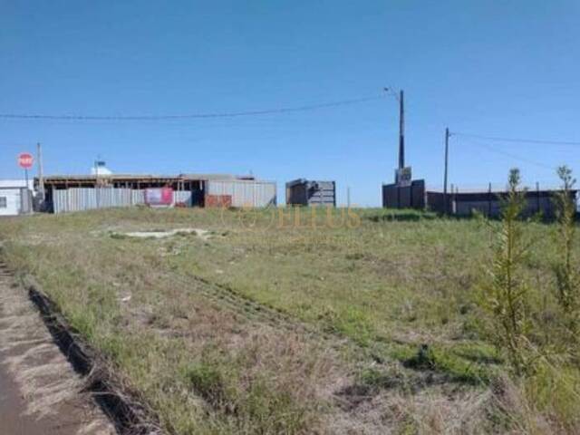 #1492 - Terreno para Venda em Chapecó - SC - 2