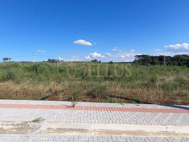 #1504 - Terreno para Venda em Guatambú - SC - 2