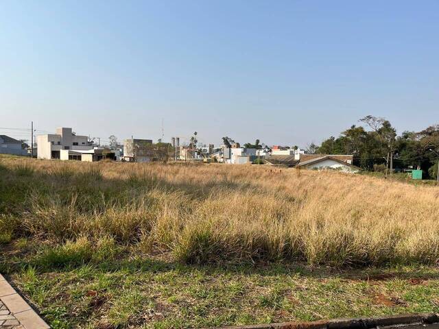 #1526 - Terreno para Venda em Cordilheira Alta - SC - 3