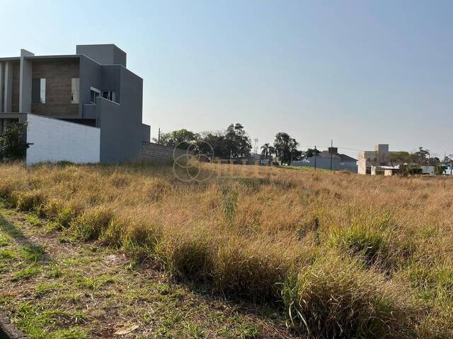 #1526 - Terreno para Venda em Cordilheira Alta - SC - 2