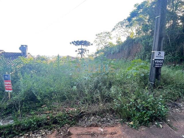 #1608 - Terreno para Venda em Chapecó - SC - 2