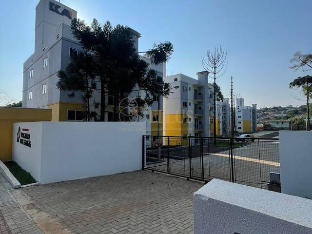 #1637 - Apartamento para Venda em Chapecó - SC - 1