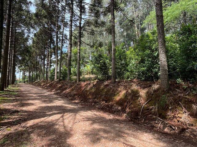 Área de terra para Venda em Chapecó - 4