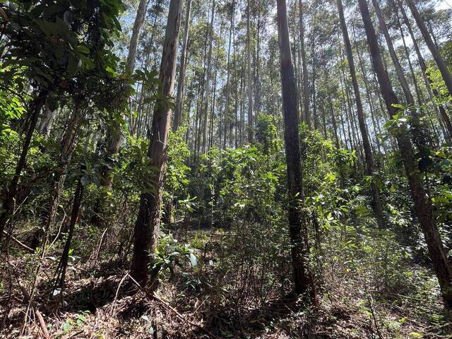 Área de terra para Venda em Chapecó - 5