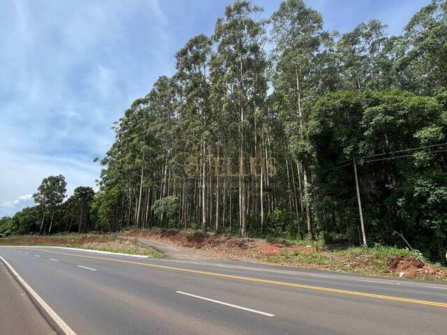 #1644 - Área de terra para Venda em Chapecó - SC