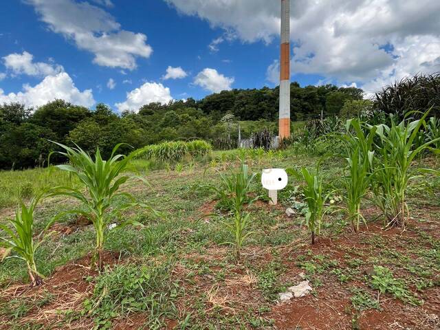 Venda em Mirante do Trevo - Cordilheira Alta