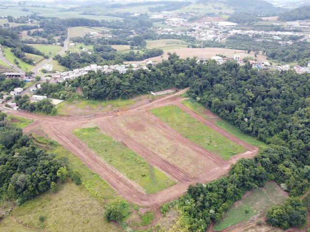 #1700 - Terreno para Venda em Cordilheira Alta - SC - 3