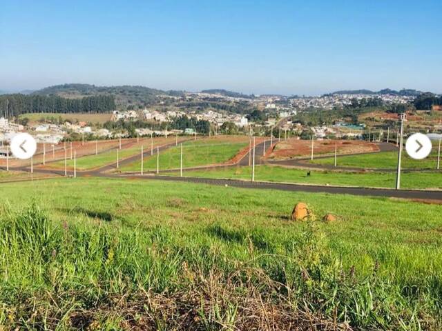 #1730 - Terreno para Venda em Xaxim - SC - 1