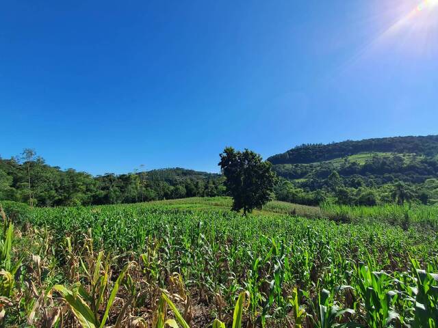 #1819 - Área de terra para Venda em Nova Itaberaba - SC