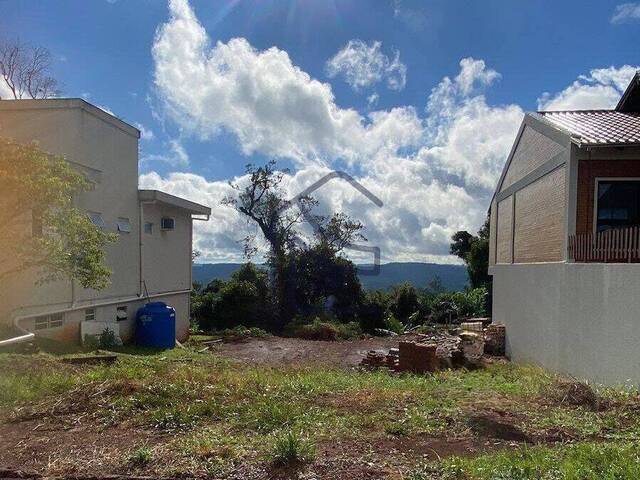 #1805 - Terreno para Venda em Cordilheira Alta - SC
