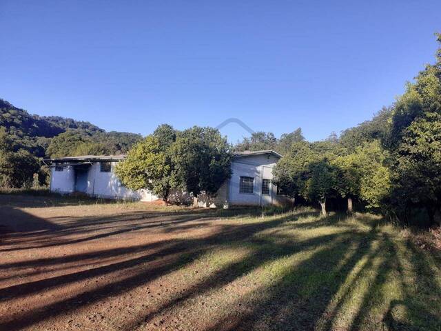 Chácara para Venda em Nova Itaberaba - 4