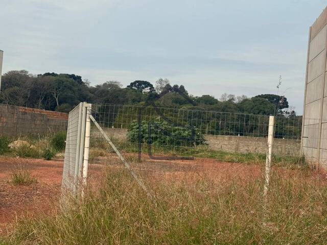 #1901 - Terreno para Venda em Chapecó - SC