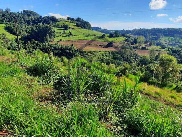 Venda em Interior - Cordilheira Alta