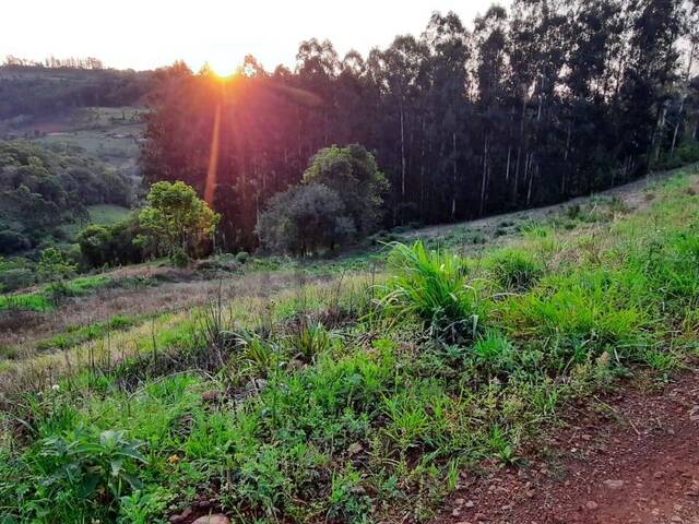Chácara para Venda em Cordilheira Alta - 4