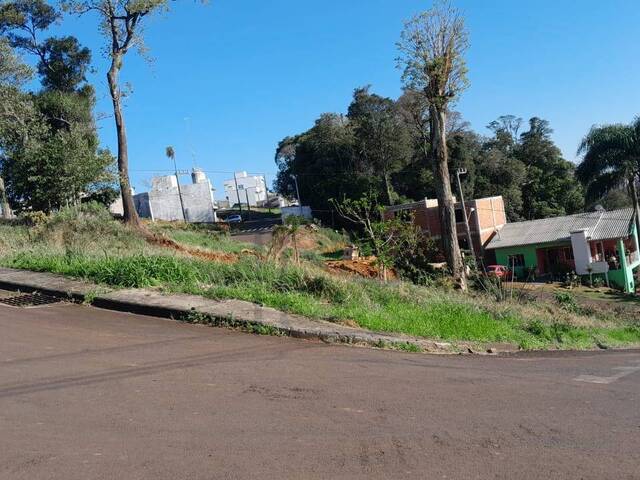Terreno para Venda em Cordilheira Alta - 4
