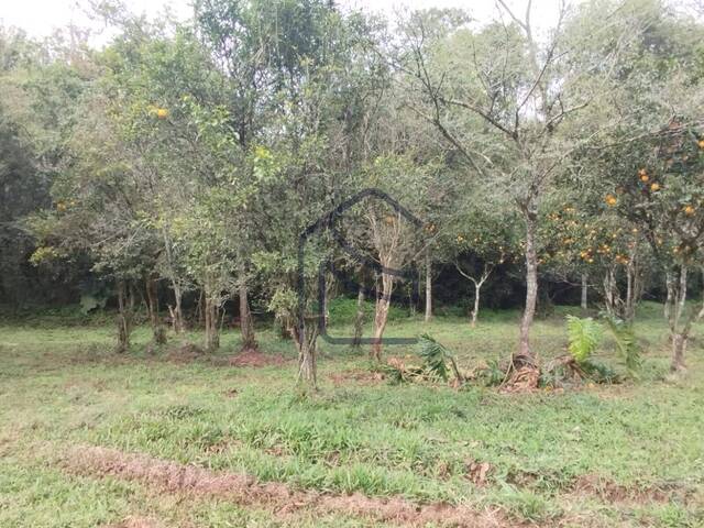 #1958 - Chácara para Venda em Caxambu do Sul - SC