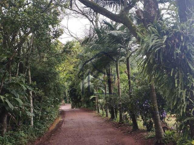 #1958 - Chácara para Venda em Caxambu do Sul - SC