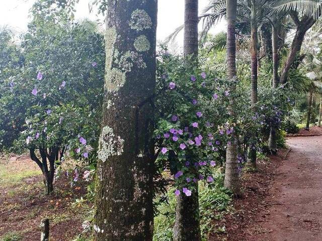 #1958 - Chácara para Venda em Caxambu do Sul - SC