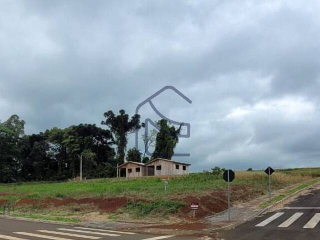 #1973 - Terreno para Venda em Guatambú - SC