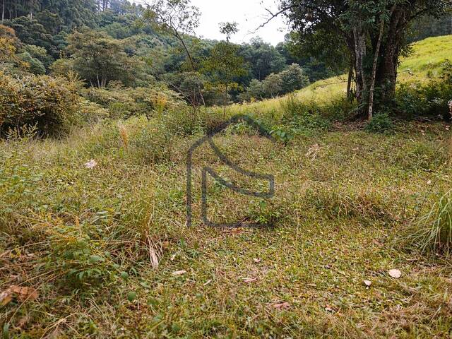 #2167 - Chácara para Venda em Coronel Freitas - SC