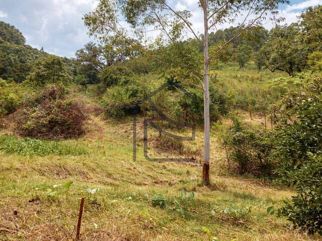 #2167 - Chácara para Venda em Coronel Freitas - SC