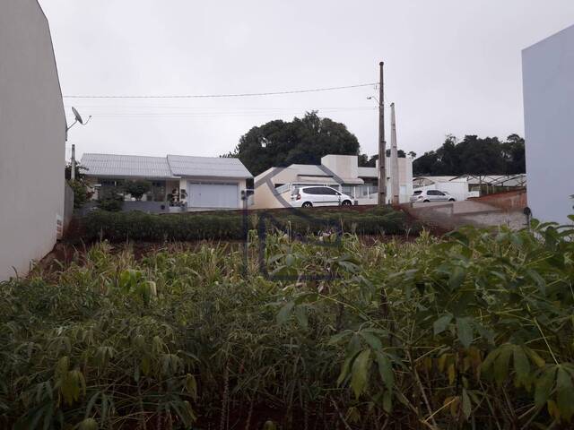 Terreno para Venda em Chapecó - 3