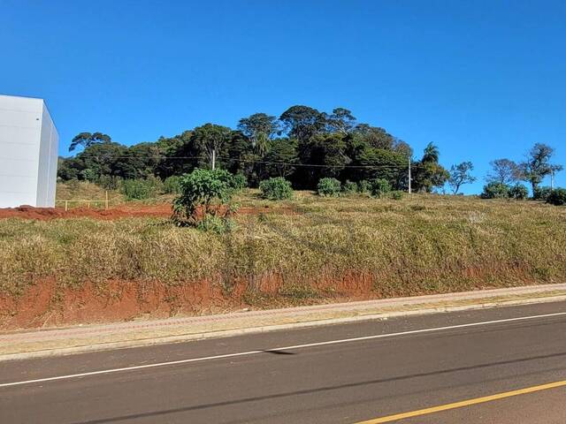 Terreno para Venda em Chapecó - 2
